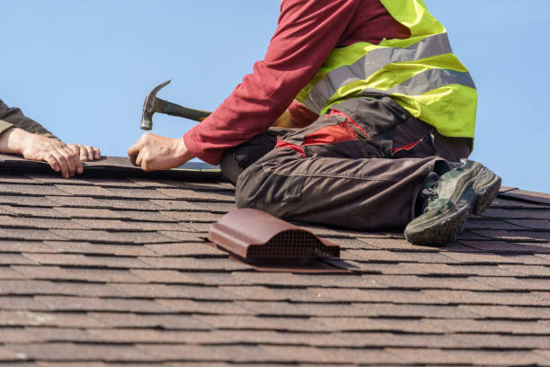 Best Roof Gutter Cleaning  in Binghamton University, NY