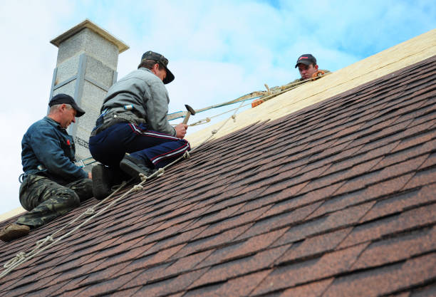 Residential Roof Replacement in Binghamton University, NY