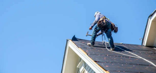 Best Roof Gutter Cleaning  in Binghamton University, NY